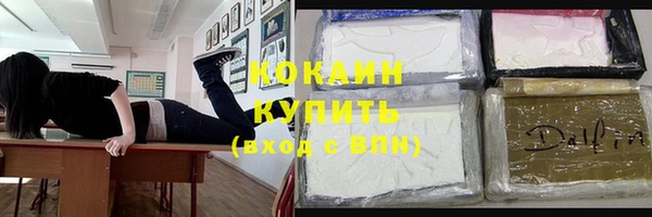 ПСИЛОЦИБИНОВЫЕ ГРИБЫ Вязники