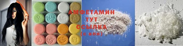 ПСИЛОЦИБИНОВЫЕ ГРИБЫ Вязники