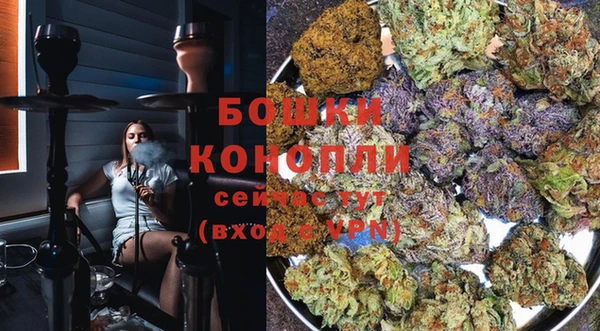 ПСИЛОЦИБИНОВЫЕ ГРИБЫ Вязники