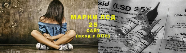 ПСИЛОЦИБИНОВЫЕ ГРИБЫ Вязники